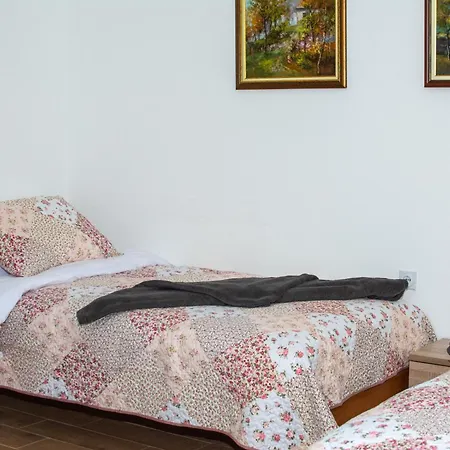 Konaciste Zaplanjsko Ognjiste Apartamento *