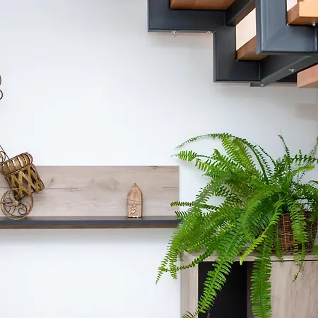 Konaciste Zaplanjsko Ognjiste Apartamento *