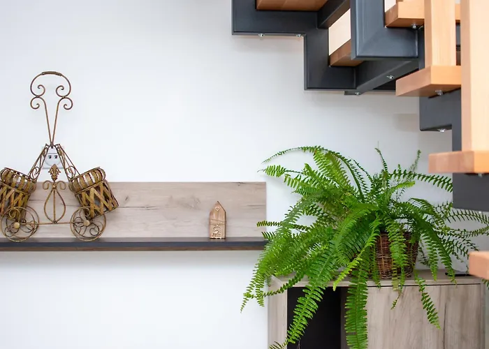 Konaciste Zaplanjsko Ognjiste Διαμέρισμα *