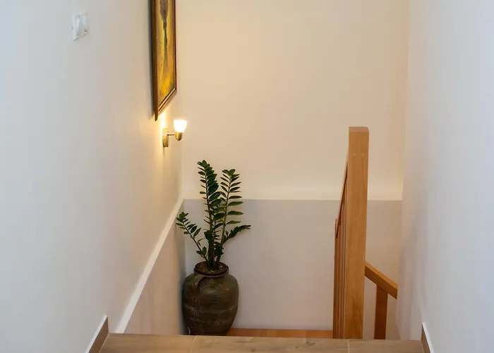 Konaciste Zaplanjsko Ognjiste