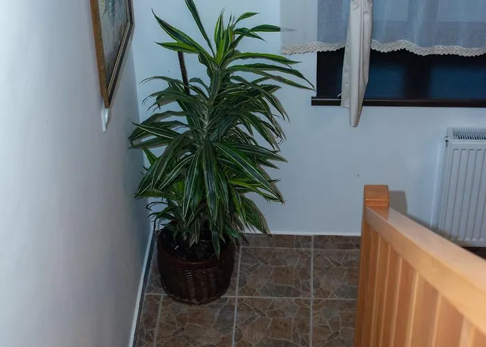 Διαμέρισμα Konaciste Zaplanjsko Ognjiste