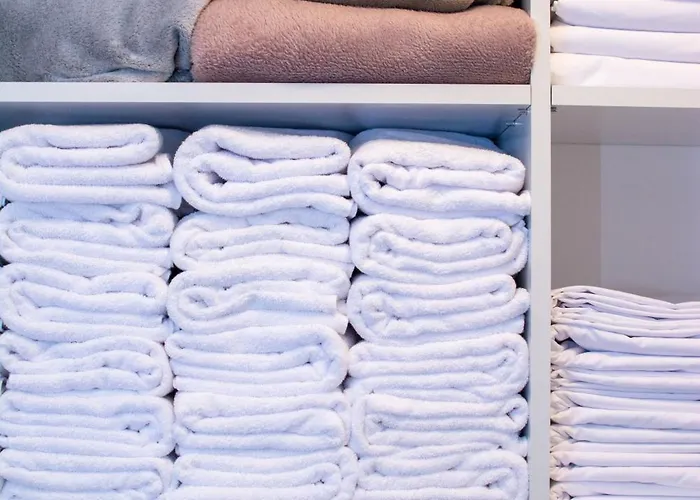 Konaciste Zaplanjsko Ognjiste Διαμέρισμα